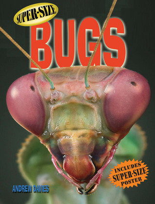 Super-Size Bugs (Hardcover)