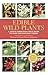 Edible Wild Plants by Thomas S. Elias