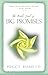 Little Book of Big Promises