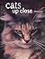 Cats Up Close