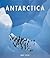 Antarctica by Mike Lucas