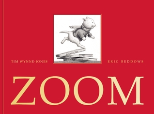 Zoom (Hardcover)