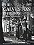 The Galveston That Was by Howard Barnstone