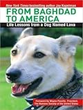 From Baghdad to America: Life Lessons from a Dog Named Lava