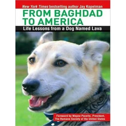 From Baghdad to America: Life Lessons from a Dog Named 