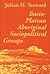 Basin-Plateau Aboriginal So...