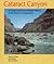 Cataract Canyon by Robert H. Webb
