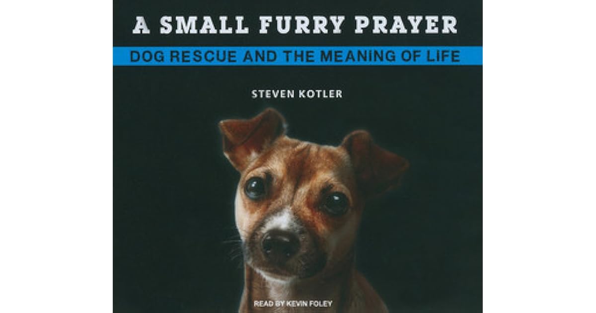A Small Furry Prayer Dog Rescue and the Meaning of Life by Steven Kotler