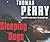 Sleeping Dogs
