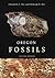Oregon Fossils