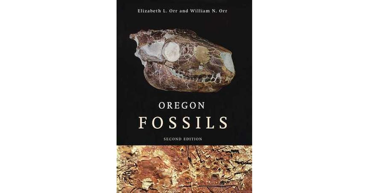 Oregon Fossils by Elizabeth L. Orr