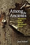 Among the Ancients: Adventures in the Eastern Old-Growth Forests
