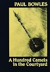 A Hundred Camels in the Courtyard