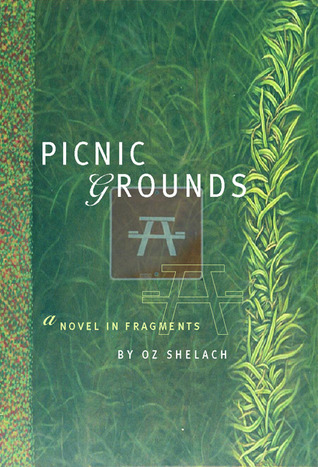 Picnic Grounds: A Novel in Fragments (Paperback)