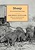 Sheep: Life on the South Dakota Range (Borealis Books)