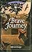 The Brave Journey