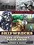 Shipwrecks Along Lake Superior's North Shore: A Diver's Guide