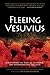 Fleeing Vesuvius: Overcoming the Risks of Economic and Environmental Collapse