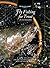 Fly Fishing for Trout in Streams: A How-To Guide (The Freshwater Angler)