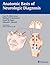 Anatomic Basis of Neurologic Diagnosis