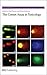Comet Assay in Toxicology (Issues in Toxicology, Volume 5)
