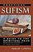 Practical Sufism: A Guide t...