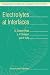 Electrolytes at Interfaces (Progress in Theoretical Chemistry and Physics)