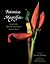 Botanica Magnifica: Portraits of the World's Most Extraordinary Flowers and Plants