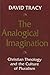 The Analogical Imagination:...