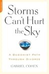 The Storms Can't Hurt the Sky: The Buddhist Path through Divorce Book cover for The Storms Can't Hurt the Sky: The Buddhist Path through Divorce