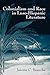Colonialism and Race in Luso-Hispanic Literature (Volume 1)