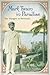 Mark Twain in Paradise by Donald Hoffmann