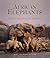 African Elephants: A Celebr...