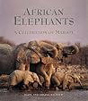 African Elephants: A Celebration of Majesty