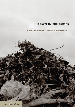 Down in the Dumps: Place, Modernity, American Depression (Paperback)