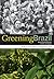 Greening Brazil: Environmental Activism in State and Society