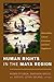 Human Rights in the Maya Region by Pedro Pitarch