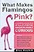 What Makes Flamingos Pink?
