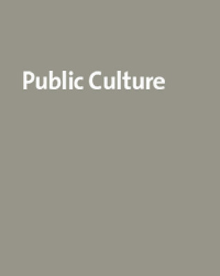 Technologies of Public Persuasion: An Accidental Issue (Volume 15) (Public Culture, Volume 15, Number 3, Fall 2003)