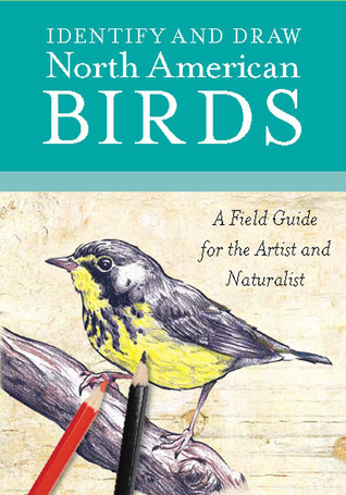 Identify and Draw North American Birds: A Field Guide for the Artist and Naturalist (Spiral-bound)