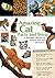 Amazing Cat Facts and Trivia