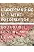 Understanding Life in the Borderlands: Boundaries in Depth and in Motion (Studies in Security and International Affairs)