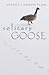 Solitary Goose