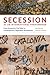 Secession as an Internation...