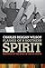 Flashes of a Southern Spirit: Meanings of the Spirit in the U.S. South