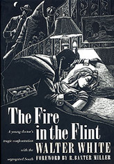 The Fire in the Flint (Brown Thrasher Books)