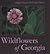 Wildflowers of Georgia