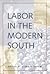 Labor in the Modern South (Economy and Society in the Modern South)