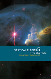 Vertical Elegies 5: The Section (Paperback)