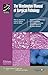 The Washington Manual of Surgical Pathology by Peter A. Humphrey